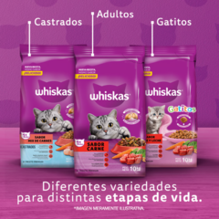 Imagen de Whiskas Gatitos Carne & Leche