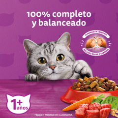 Whiskas Adulto Carne en internet