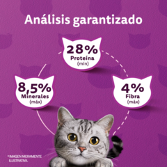 Whiskas Adulto Carne - tienda online