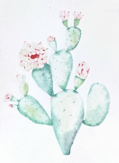 Cactus nopal