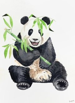 Panda con bamboo