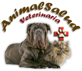 Animal Salud Veterinaria