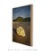 Concha grande amarela - Vertical | Cod.23 - Galeria Lucas Foletto