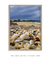 Imagem do Conchas amareladas céu azul - Vertical | Cod.20