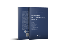 Libro - Derecho Internacional Público - José Antonio Musso (Coordinador)