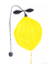 Lemon - tienda online