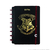 CADERNO INTELIGENTE HARRY POTTER A5