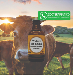 Yoduro de Sodio 60% x50ml. NORT