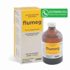 Flumeg INY x 100ml - Over