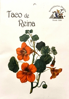 SEMILLAS DE TACO DE REINA CAPUCHINA FLORES - comprar online