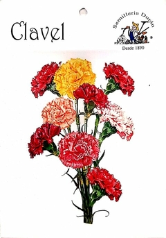 SEMILLAS DE CLAVEL FLORES - comprar online