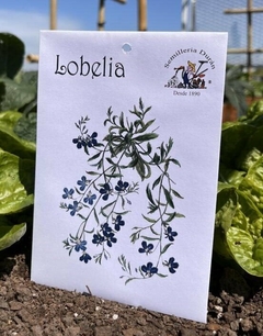 SEMILLAS DE FLORES LEBELIA - comprar online