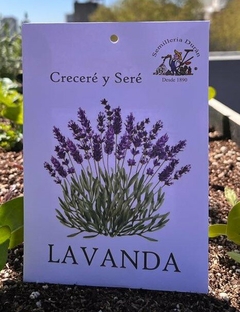 SEMILLAS DE LAVANDA - comprar online