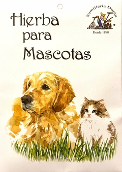 SEMILLAS DE HIERBA PARA MASCOTAS - comprar online