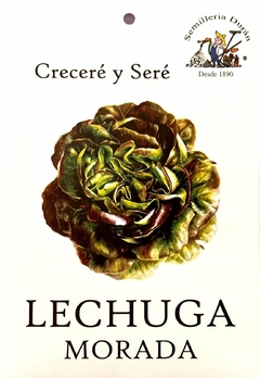 SEMILLAS DE LECHUGA MORADA HUERTA - comprar online