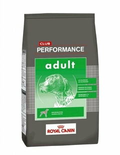 Alimento Performance Adult x 15 kgs - Royal Canin