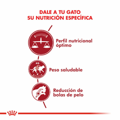 Alimento Fit 32 - 15 Kg - Royal Canin en internet