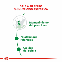 Alimento para Perro Mini Adulto - 7.5 Kg - Royal Canin - Campo y Ciudad | Farmacia Agroveterinaria