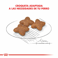 Alimento para Perro Mini Adulto - 7.5 Kg - Royal Canin - tienda online