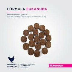 Eukanuba Adult Large Breed x 15 kgs en internet