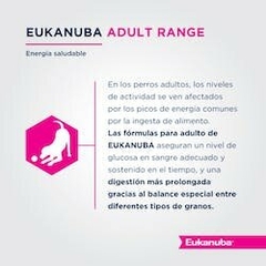 Eukanuba Adult Large Breed x 15 kgs - Campo y Ciudad | Farmacia Agroveterinaria