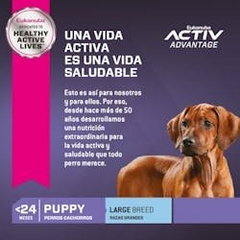 Eukanuba Puppy Large Breed x 15 kgs. en internet