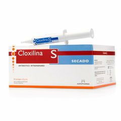 CLOXILINA S jeringa x 8 gr. (144 jeringas)