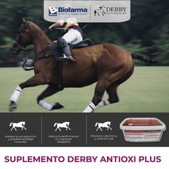 DERBY ANTIOXI PLUS -Sup. para la Recuperación Muscular. 3Kg - comprar online