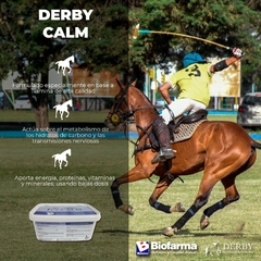 DERBY CALM Sup. para equinos nerviosos. 3Kg - comprar online