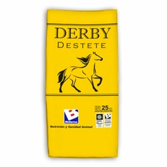 DERBY DESTETE -SuP. proteico vitamínico mineral 25Kg