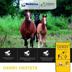 DERBY DESTETE -SuP. proteico vitamínico mineral 25Kg - comprar online