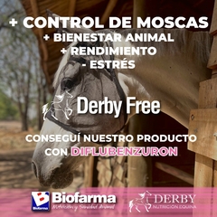 DERBY FREE BALDE 3Kg en internet