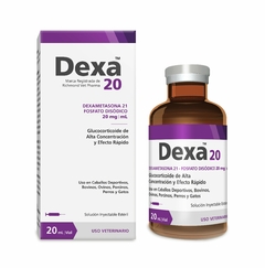 DEXA 20 X 20 ML - Richmond