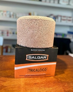 Bloque Tricálcico 13Kg -Salgar - comprar online