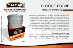 Bloque Cobre 13Kg -Salgar - comprar online