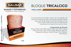 Bloque Tricálcico 13Kg -Salgar - Campo y Ciudad | Farmacia Agroveterinaria