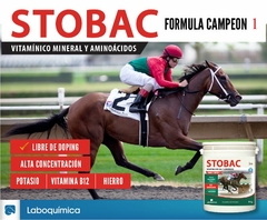 SUPLEMENTO PARA CABALLOS STOBAC 1,2 KGS - LABOQUIMICA en internet