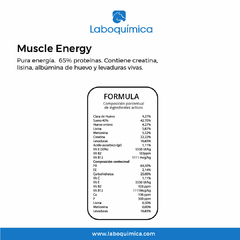 SUPLEMENTO PARA CABALLOS MUSCLE ENERGY 2,7 KG-LABOQUIMICA - comprar online