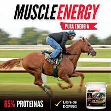 SUPLEMENTO PARA CABALLOS MUSCLE ENERGY 2,7 KG-LABOQUIMICA en internet