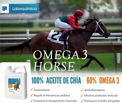 Suplemento Omega 3 Horse 1 Lt- LABOQUIMICA - Campo y Ciudad | Farmacia Agroveterinaria