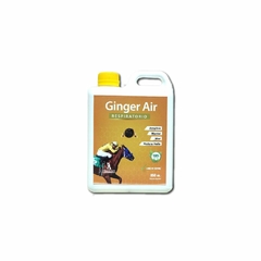 GINGER AIR 950 ML - comprar online