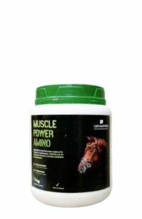 SUPLEMENTO PARA CABALLOS MUSCLE POWER AMINO LABOQUIMICA