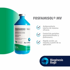 FOSFAMISOL MV X 500 ML - BIOGENESIS BAGO