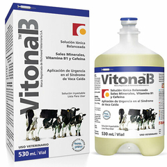 VITONAL B por 530 mL