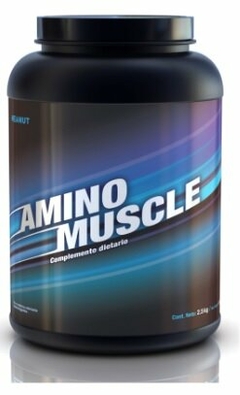 AMINO MUSCLE X 2.5 KG -HEANUT