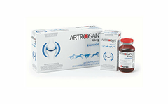 ARTROSAN EQUINO INTRAM FCO X 6ML - KONIG