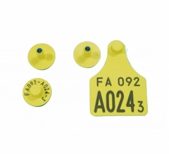 R.257/17 CONJUNTO AMARILLO - ALLFLEX