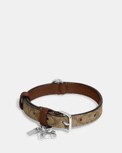 Collar para mascota Coach - comprar en línea