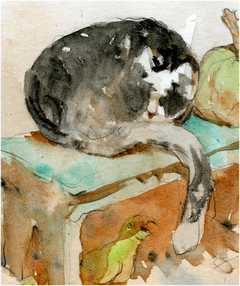Fine Art "gato, abóbora e papagaio" - comprar online