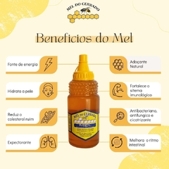 Mel Multiflor Silvestre - Mel do Cerrado - 500g - Coloração Clara - comprar online